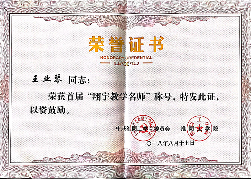 王业琴翔宇教学名师.jpg